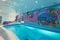 Spa swimming pool design with mosaic fish on the wall