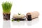 Spa towel, soap and wheatgrass