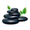 spa volcanic rocks with leaves icon