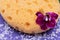 Spa Wellness Concept. Natural Foam Bath & Shower Sea Sponge, Orchid Flower and Lavender Epsom Salt on bright purple