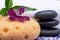 Spa Wellness Concept. Natural Foam Bath & Shower Sea Sponge, stacked Basalt Stones, Bamboo, Orchid Flower and Lavender Epsom Salt