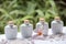 Spa and wellness setting with natural soap, stones and towel on the green background .