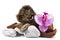 Spa and wellness setting with towel, orchid, wooden parts, natural loofah sponge on white background