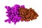 Space-filling molecular model of caspase-9 in an inhibitory complex with XIAP-BIR3. Rendering with differently colored