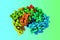 Space-filling molecular model of human pepsin and its complex with pepstatin, the enzyme that digest food proteins into