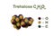 Space-filling molecular model of trehalose mycose or tremalose. 3d illustration