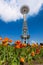 Space needle tower view from below with tulips