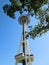 Space Needle withTree Branch
