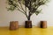 Space for office meetings with three stump chairs against a white wall with a tree on it