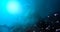 Space scene. Blue nebula with asteroids. Elements furnished by N