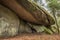 Space ship rock near Thurmansbang megalith granite rock formation in bavarian forest, Germany