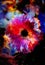 Space and stars with flower, color galaxi