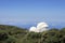 Space telescopes in La Palma Island, Canary Island, Spain