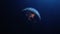 Space view on Planet Earth rotating Solar Eclipse Animation