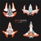 Spaceships aircraft design