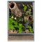 Spacious Glass Terrarium with Plants for Reptile Breeding