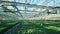 Spacious greenhouse with green seedlings in sunlight