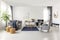 Spacious grey and navy blue scandinavian living room interior