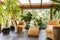 Spacious indoor orangerie with upholstered furniture