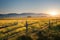 Spacious meadow with grass and the silhouette of mountains in the distance