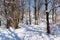 Spacious snow landscape. River and hills in Russia, white winter on the terrain,