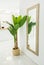 Spacious stylish large hallway with mirror hanging on the wall tall green houseplant fragment of open kitchen. Marble floor