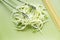 Spaghetti and zucchini on green chopping board