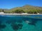 Spain beach shore fish and seagrass Mediterranean