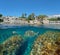 Spain Calella de Palafrugell coast fish underwater