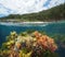 Spain coastline and colorful algae Atlantic ocean