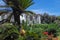 Spain garden with flowering sago palm, Cycas revoluta and fountain.