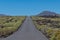 Spain, Lanzarote,lava and vegetation of arid island