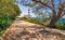 Spain Majorca Porto Colom Lighthouse