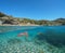 Spain Mediterranean coast jellyfish underwater