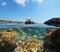 Spain seabird on rock and fish underwater sea