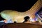 SPAIN - SEVILLA: Night view of Metropol Parasol in Plaza Encarnacion, Andalusia province.