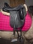 Spain.Vertical view of Lusitano horse with dressage leather saddle and pink saddle pad.