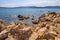 Spalmatore di Terra peninsula of Marine Protected Area natural reserve with seashore rocks of Isola Tavolara