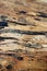 Spalted maple tree sawn timber plank