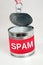 Spam word