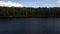 Span over a wooded pine shore with a pier near which boats