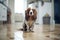 spaniel with muddy paws on a clean floor