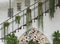 Spanish Antique Staircase with Decor and Foliage