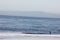 Spanish Bay Beach in Pebble beach area, 17 mile drive, California, USA