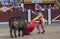 The Spanish Bullfighter Enrique Ponce prepares to kill a bull wi