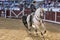 Spanish bullfighter on horseback Leonardo Hernandez chased by the bull in a very complicated position