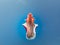 Spanish dancer, Hexabranchus sanguineus, isolated on blue water background. The Spanish dancer is a dorid nudibranch, a