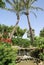 Spanish garden with a waterfall, palm trees, & flowers