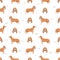 Spanish hound seamless pattern. All coat colors set