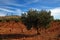 Spanish landscape with windmills on background